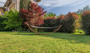 Alloggio turistico vicino percorsi mountain bike alle Cinque Terre